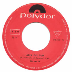 The Maze - Aria Del Sud
